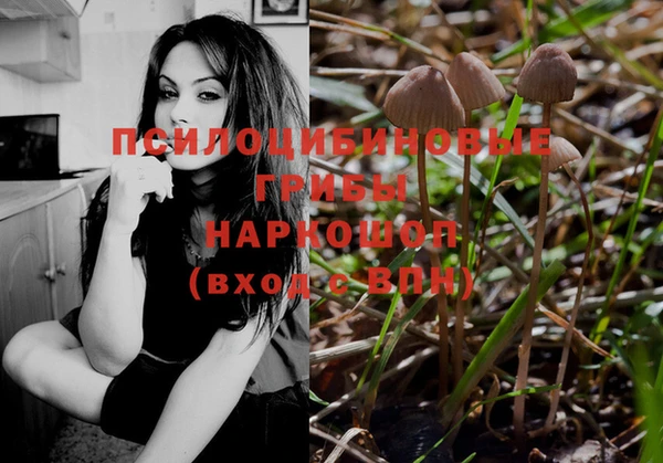 дживик Магас