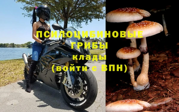 COCAINE Майский