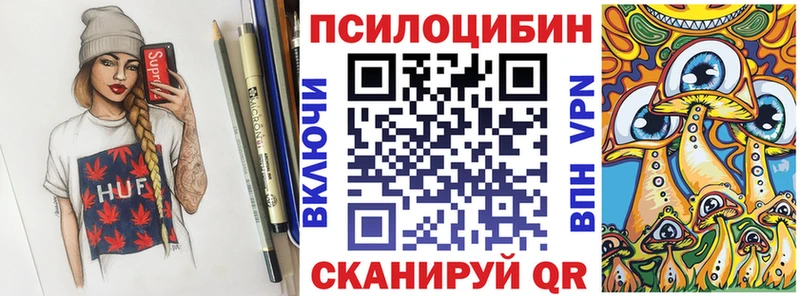 Купить закладки Светлогорск Псилоцибиновые грибы Magic Shrooms