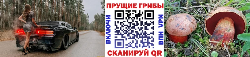 Псилоцибиновые грибы Cubensis Светлогорск